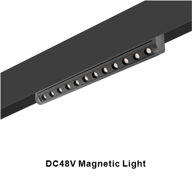 DC48V Magnetic Light