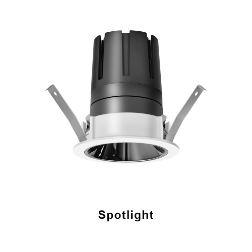 Spotlight