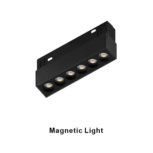 DC48V Magnetic Light